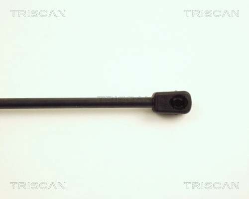 Gas Spring, boot/cargo area