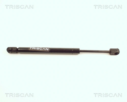 Gas Spring, boot/cargo area (8710 25205)