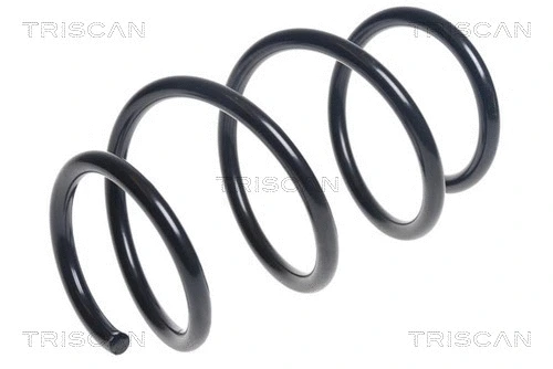 Suspension Spring (8750 23182)