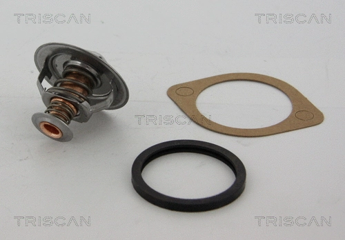 Thermostat, coolant (8620 10989)
