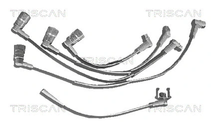 Ignition Cable Kit (8860 2497)
