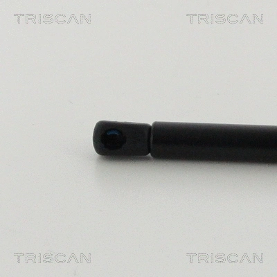 Gas Spring, boot/cargo area