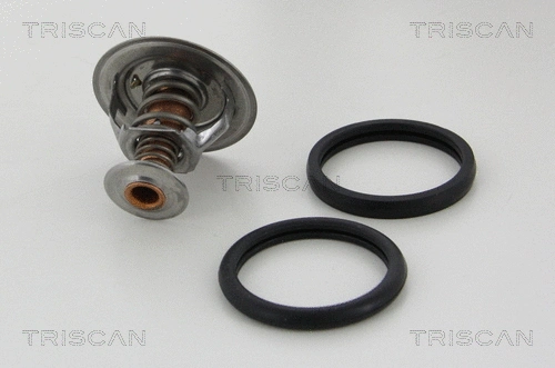 Thermostat, coolant (8620 8482)