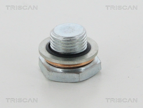 Screw Plug, oil sump (95-0963)