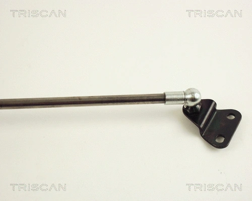Gas Spring, boot/cargo area
