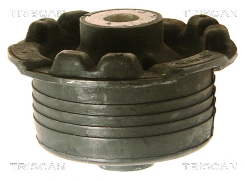 Bushing, axle beam (8500 24841)