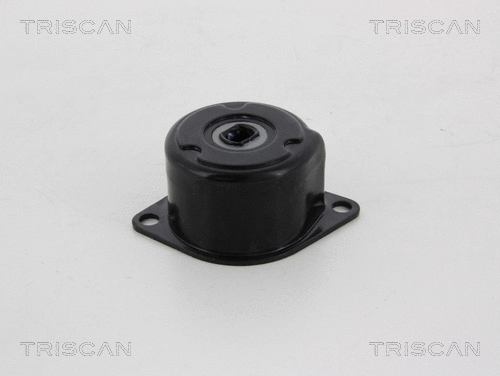 Belt Tensioner, V-ribbed belt (8641 293043)