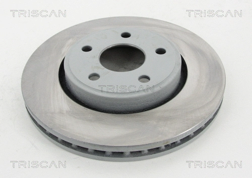 Brake Disc (8120 101071C)
