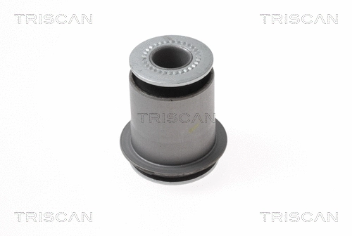 Mounting, control/trailing arm (8500 13854)