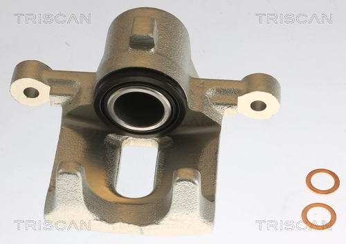 Brake Caliper (8175 13203)