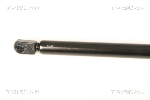 Gas Spring, boot/cargo area