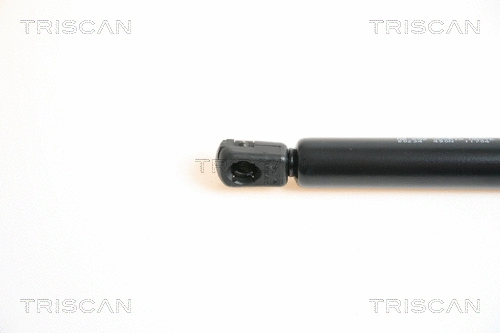 Gas Spring, boot/cargo area