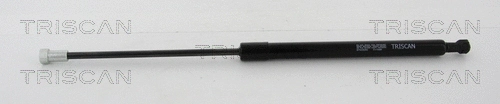 Gas Spring, boot/cargo area (8710 28293)
