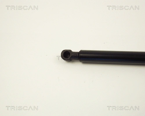 Gas Spring, boot/cargo area