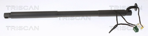 Gas Spring, boot/cargo area (8710 23309)