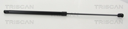 Gas Spring, boot/cargo area (8710 24260)