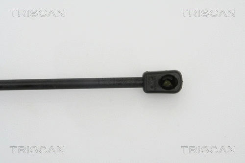 Gas Spring, boot/cargo area