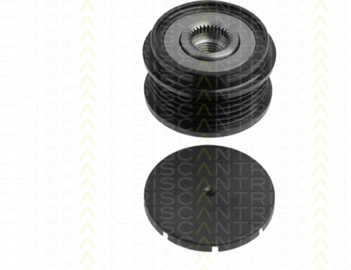 Alternator Freewheel Clutch (8641 234005)