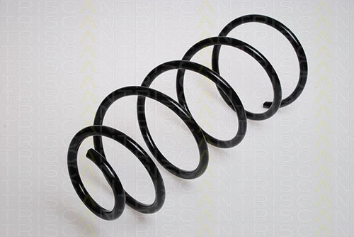 Suspension Spring (8750 2877)