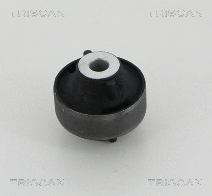 Mounting, control/trailing arm (8500 25862)