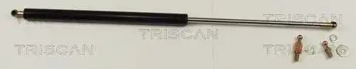 Gas Spring, boot/cargo area (8710 42216)