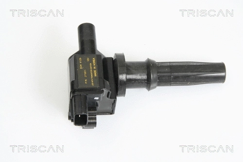 Ignition Coil (8860 43007)
