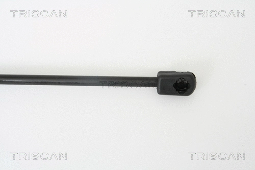 Gas Spring, boot/cargo area
