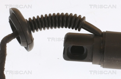 Gas Spring, boot/cargo area