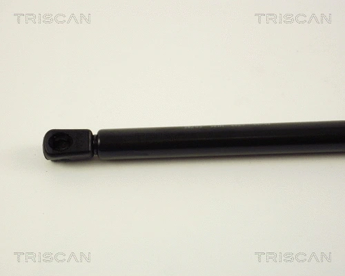 Gas Spring, boot/cargo area