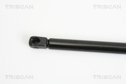 Gas Spring, bonnet