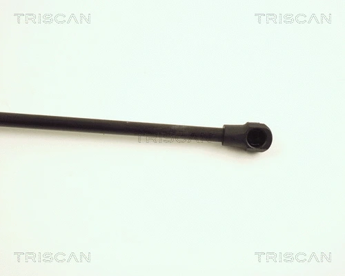 Gas Spring, boot/cargo area