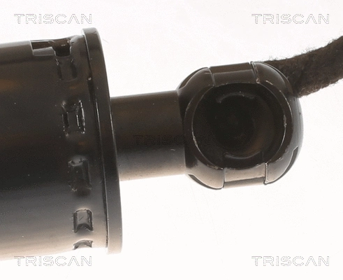 Gas Spring, boot/cargo area