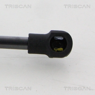 Gas Spring, bonnet