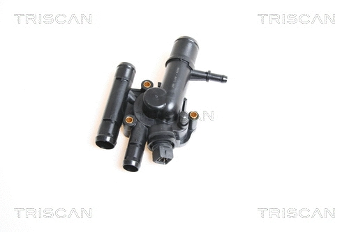 Thermostat, coolant (8620 17889)