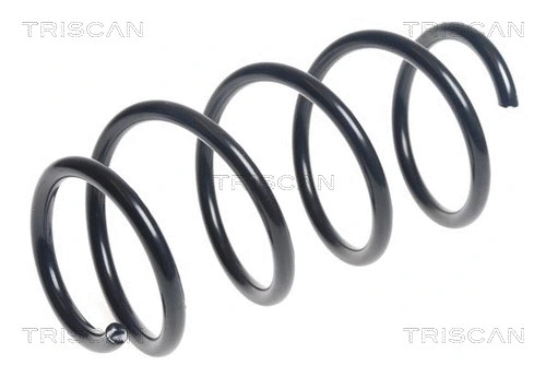 Suspension Spring (8750 24193)