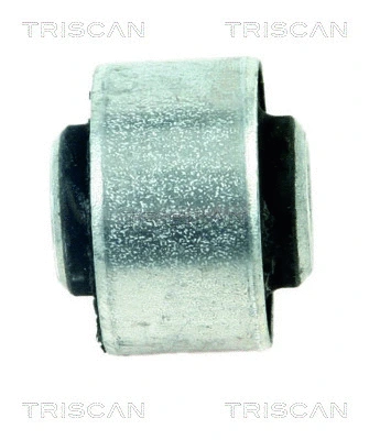 Mounting, control/trailing arm (8500 29868)