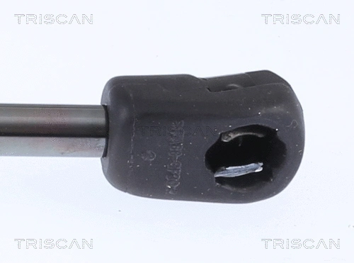 Gas Spring, bonnet
