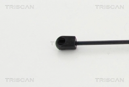 Gas Spring, bonnet