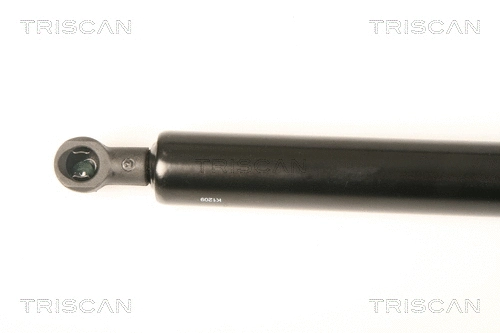 Gas Spring, boot/cargo area