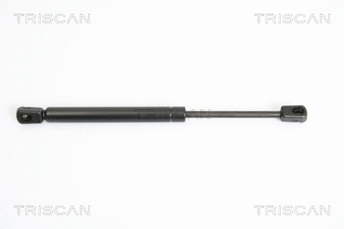 Gas Spring, boot/cargo area (8710 43225)