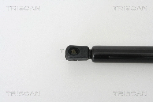 Gas Spring, boot/cargo area