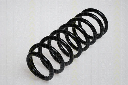 Suspension Spring (8750 2979)