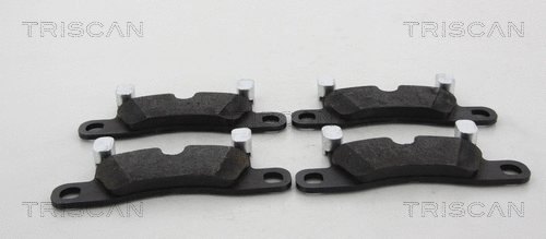 Brake Pad Set, disc brake (8110 20006)