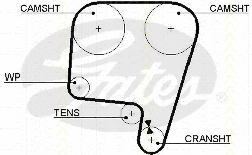 Timing Belt