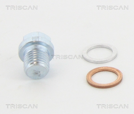 Screw Plug, oil sump (95-0973)