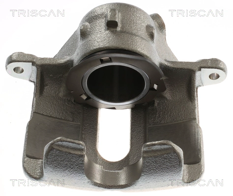 Brake Caliper (8175 23121)