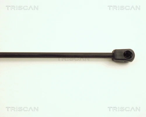 Gas Spring, boot/cargo area