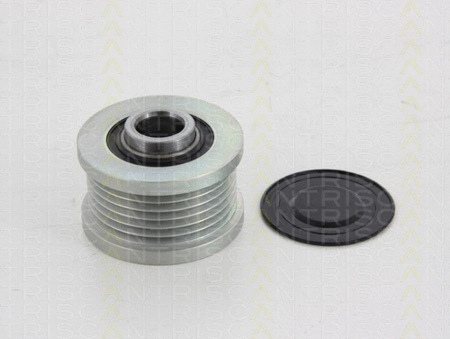 Alternator Freewheel Clutch (8641 244005)