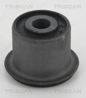 Mounting, control/trailing arm (8500 23879)