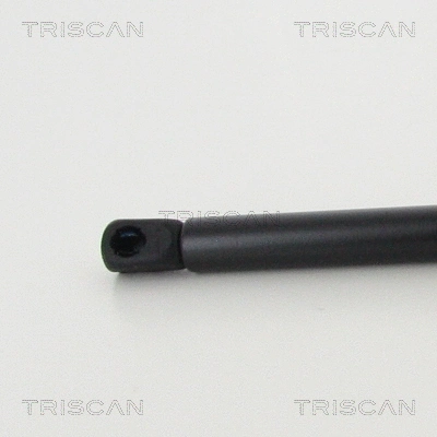 Gas Spring, boot/cargo area